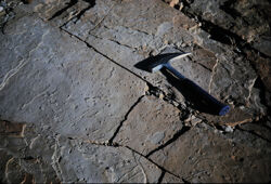 Photo of sample